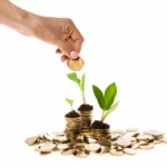 Introducción a la inversión