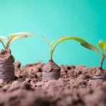 Microinversión cómo invertir aunque solo tengas 10 euros